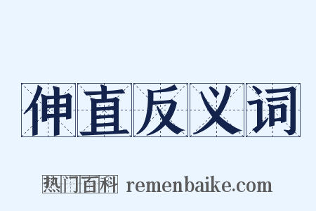 伸直反义词是什么意思的图片